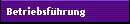 Betriebsfhrung
