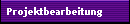 Projektbearbeitung