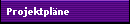 Projektplne